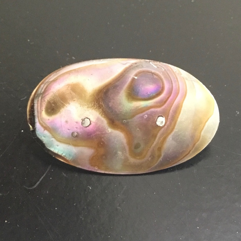 Vintage 1940s Abalone shell brooch pendant